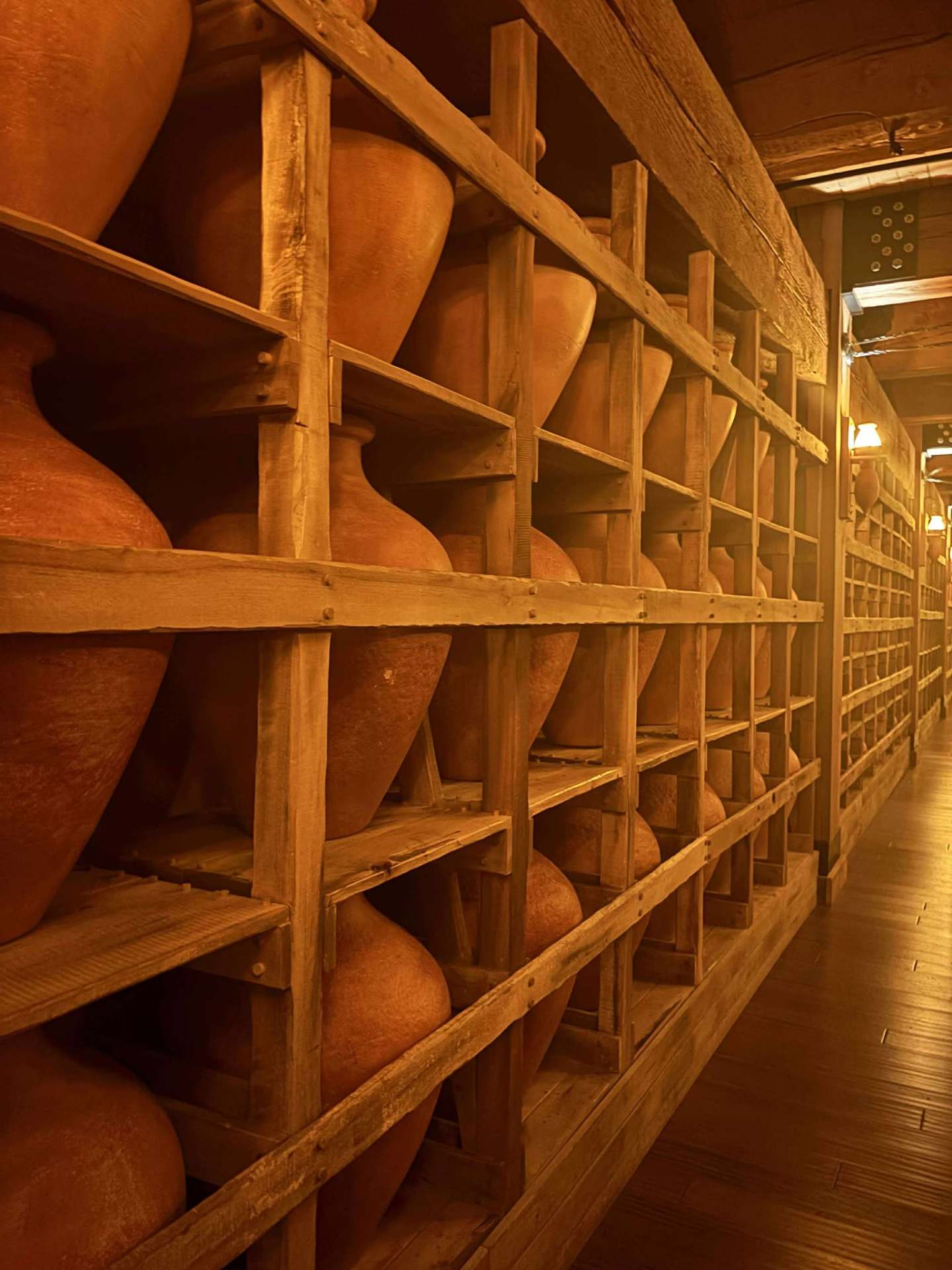 Visiting Noah S Ark Full Travel Guide The Wavy Trip