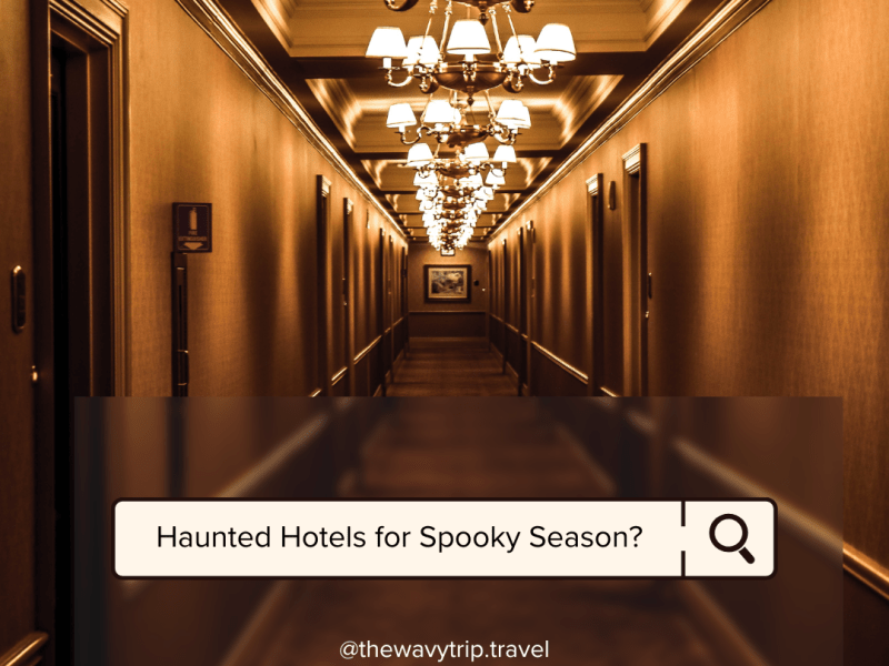 Top 5 Haunted Hotels For Spooky&nbsp;Season
